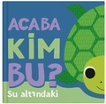 Cover: Acaba Kim Bu - Su Altindaki Ciltli - Indigo Kitap
