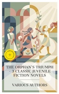 Cover: The Orphan's Triumph - 3 Classic Juvenile Fiction Novels - e-artnow Collections