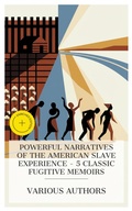 Cover: Powerful Narratives of the American Slave Experience - 5 Classic Fugitive Memoirs - e-artnow Collections