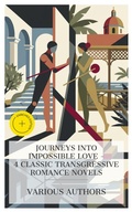 Cover: Journeys into Impossible Love - 4 Classic Transgressive Romance Novels - e-artnow Collections