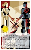Cover: Forbidden Love Across Class Divides - 3 Classic Social Divide Romances - e-artnow Collections