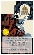Cover: The Secret History of Black America - 3 Classic Slavery Fiction Novels - e-artnow Collections