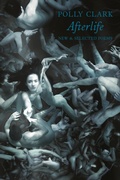 Cover: Afterlife - Bloodaxe Books