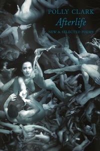 Enlarge image Cover: Afterlife - Bloodaxe Books