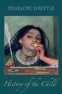 Cover: History of the Child - Bloodaxe Books