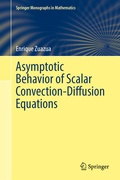 Cover: Asymptotic Behavior of Scalar Convection-Diffusion Equations - Springer