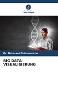 Cover: BIG DATA-VISUALISIERUNG - Verlag Unser Wissen