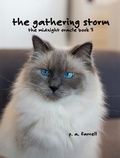 Cover: The Gathering Storm (The Midnight Oracle, #3) - Dr. Patricia A. Farrell