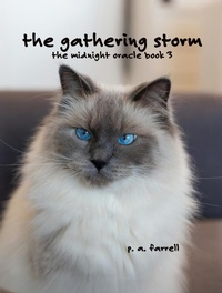 Enlarge image Cover: The Gathering Storm, The Midnight Oracle Book 3 - Dr. Patricia A. Farrell
