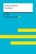 Cover: Dschinns von Fatma Aydemir - Reclam