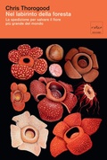 Cover: Nel labirinto della foresta - Codice Edizioni