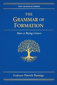 Enlarge image Cover: The Grammar of Formation - The Grammar of Human Development Series