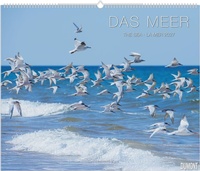 Enlarge image Cover: Das Meer 2027 - DUMONT