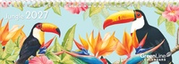 Enlarge image Cover: Jungle 2027 - GreenLine