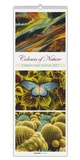 Cover: Colours of Nature - Triplets 2027 - ALPHA EDITION