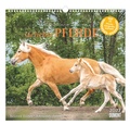 Cover: Geliebte Pferde 2027 - DUMONT