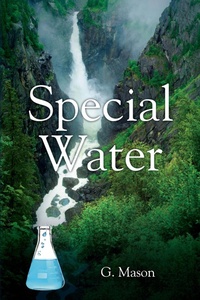Enlarge image Cover: Special Water - Outskirts Press