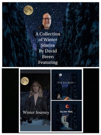 Enlarge image Cover: A Collection of Winter Stories by David Breen - David Breen