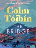 Cover: The Bridge - Picador