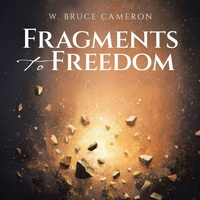 Enlarge image Cover: Fragments to Freedom - Balboa Press