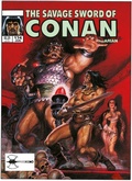 Cover: The Savage Sword Of Conan: The Original Comics Omnibus Vol.13 - Titan Books Ltd