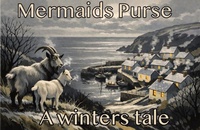 Enlarge image Cover: Mermaids Purse - Winters Tale - RC Creative Solutions