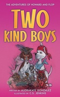 Cover: Two Kind Boys - Twenty Hills Publishing