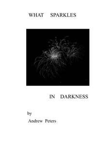 Enlarge image Cover: What Sparkles in Darkness - Lloyd Andrew Peters