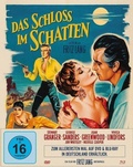 Cover: Das Schloss im Schatten - Plaion Pictures