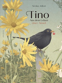 Enlarge image Cover: Tino - Dörlemann
