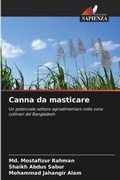 Cover: Canna da masticare - Edizioni Sapienza