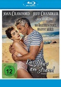 Cover: Das Haus am Strand - Explosive Media