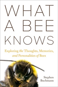 Enlarge image Cover: What a Bee Knows - Princeton University Press