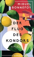 Cover: Der Flug des Kondors - Eisele