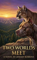 Cover: Two Worlds Meet - Jeremy Robbins