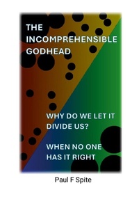 Enlarge image Cover: Why Do We Let It Divide Us - Lulu.com