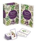 Cover: Healing Plants Book & Card Deck - Arcturus Publishing