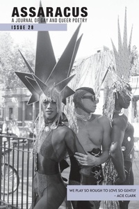 Enlarge image Cover: Assaracus Issue 28 - Sibling Rivalry Press, LLC
