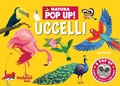 Cover: Uccelli. Natura pop up - Nuinui