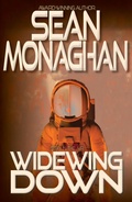 Cover: Widewing Down - Triple V Publishing