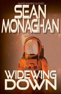 Enlarge image Cover: Widewing Down - Triple V Publishing