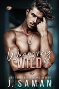 Cover: Waanzinnig wild (Waanzinnig de jouwe, #3) - Sisters Press
