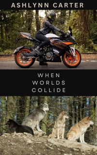 Enlarge image Cover: When Worlds Collide - Ashlynn Carter