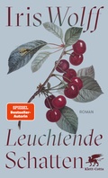 Cover: Leuchtende Schatten - Klett-Cotta