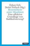 Cover: Ressentiment unter Muslimen - Campus eBooks