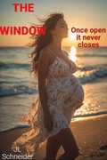 Cover: The Window - JL Schneider