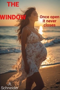 Enlarge image Cover: The Window - JL Schneider