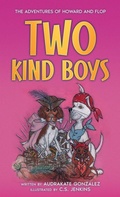Cover: Two Kind Boys - Twenty Hills Publishing