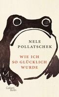 Cover: Wie ich so gl&uuml;cklich wurde - Kiepenheuer & Witsch