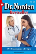 Cover: Dr. Behnisch muss schweigen - Blattwerk Handel